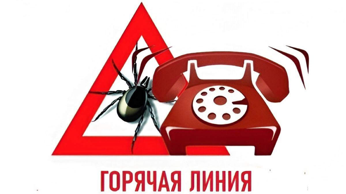 «Горячая линия» по вопросам профилактики клещевого