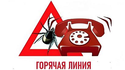 «Горячая линия» по вопросам профилактики клещевого