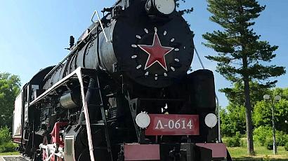МТФ 